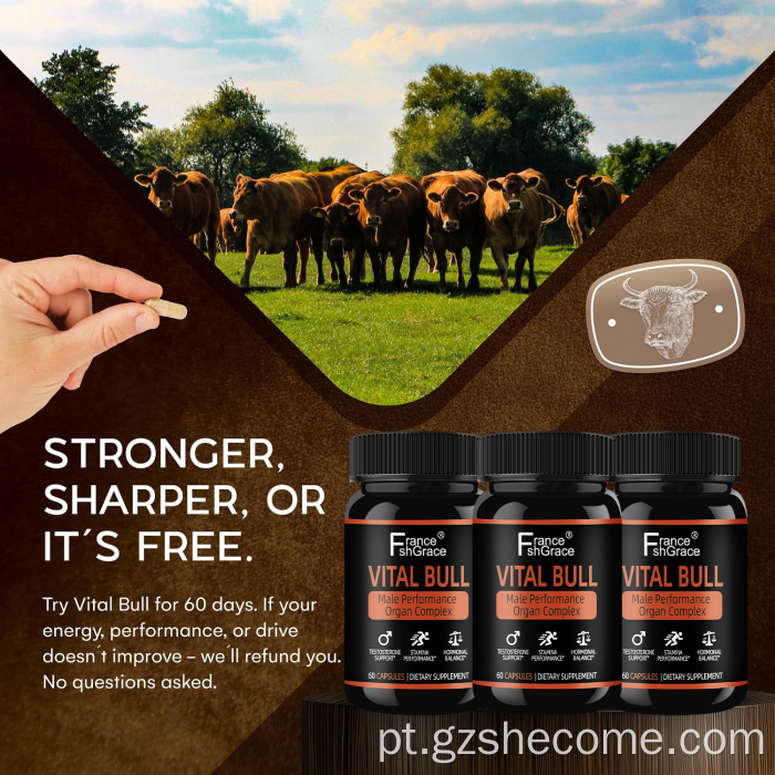 Suplemento de órgão Vital Bull Beef personalizado para homens